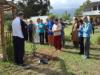 5431816.jpg