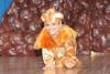 1308777bbaab.jpg